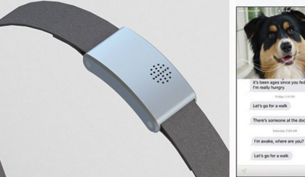 'WhatsYapp' Smart Collar Concept