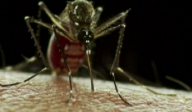 North Carolina Zika Virus