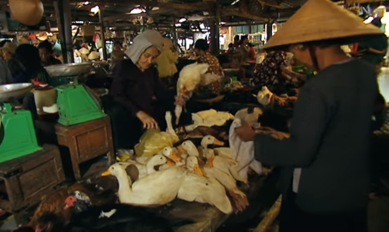 Vietnam Wild Animal Market