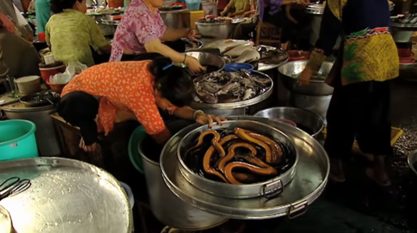 Vietnam Wild Animal Market