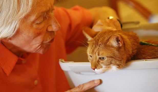 Cat Brings Therapy And Delight To The Elderly