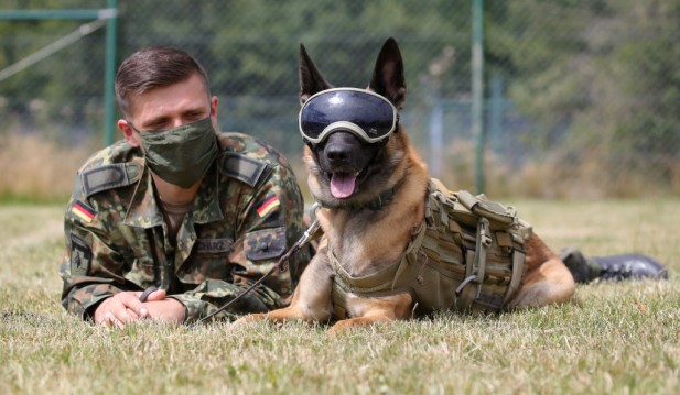 Bundeswehr Trains Dogs For Detection Of Explosives