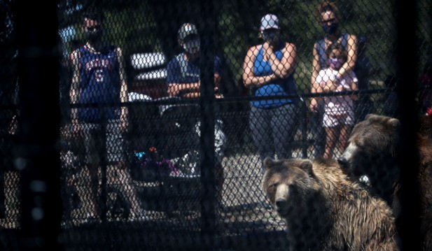 Oakland Zoo Opens To Public Despite California's Rising Coronavirus Infections