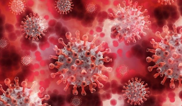 Coronavirus: Sweden Says That Projected Herd Immunity is not Effective