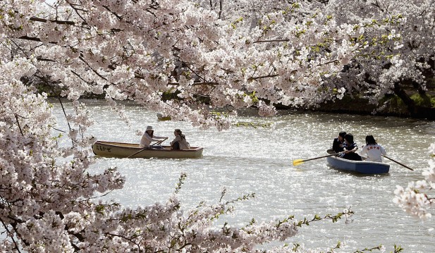 Japan Considers Reopening Borders to Tourism in 2021