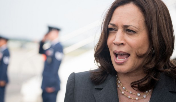 Kamala Harris Blasted for Agreeing to Make First Southern Border Visit Five Days Before Donald Trumps'