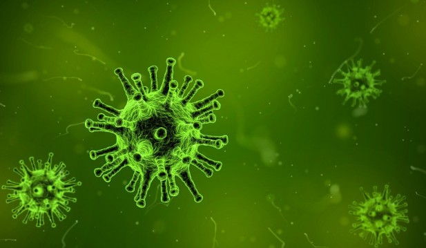 Study finds mixing coronavirus vaccines produced high immune response