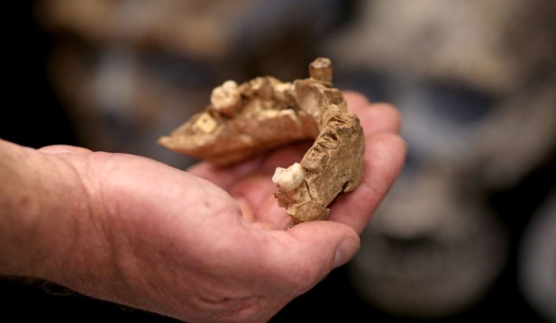 Jawbone Discovered Might Point to Ancient Human Ancestors Moving from Australia and Asia