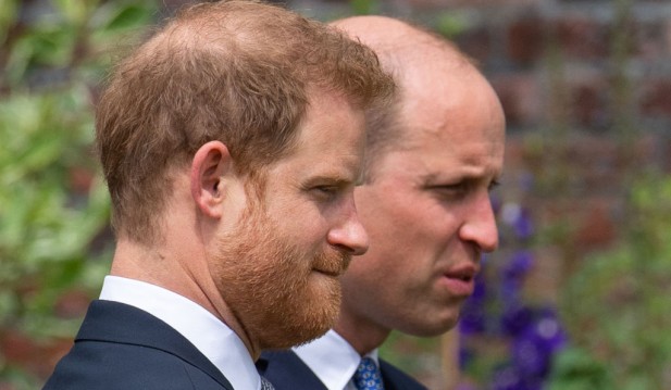 Prince Harry, Prince William  Set Tension Aside To Honor Princess Diana's Legacy; Feud Is Hard To Bear for Queen, Says Royal Expert