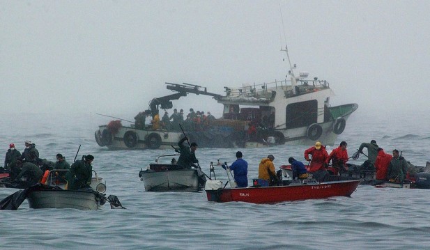 Spanish Fishing Boat Sinks Off Canada Killing 7 as Search Continues for 14 Missing Crew
