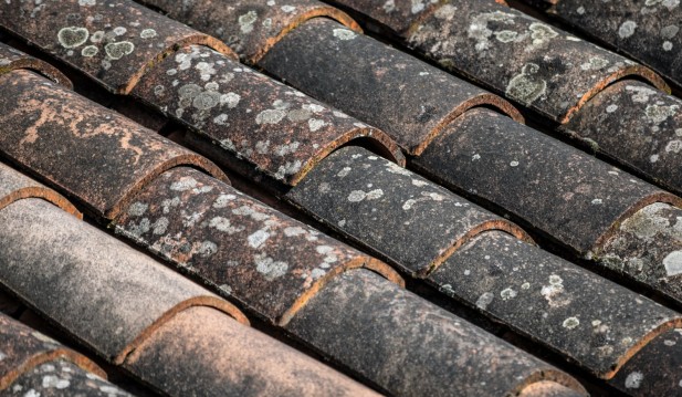 How Often Should Your Roof Be Cleaned?