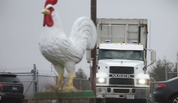US Health Officials Detect Highly Infectious Bird Flu In A Prison Inmate Working In Colorado Farm