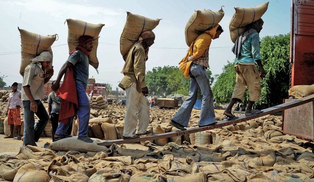 India Bans Wheat Exports To Curb Rising Domestic Prices; World Food Prices Expected To Hit New High
