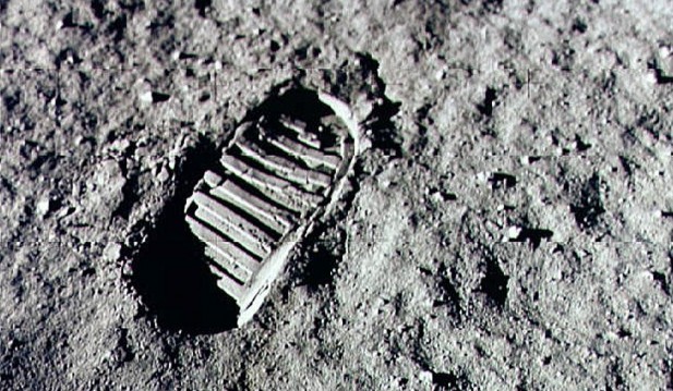 'Everything Sprouted': Scientists Successfully Grow Plants in Moon Soil Collected by Apollo Astronauts