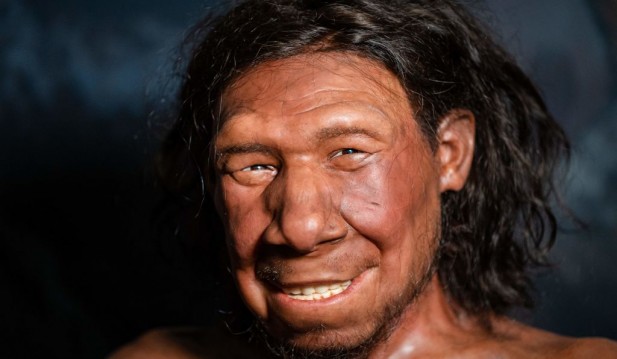 50,000-Year-Old-DNA Belongs To Neanderthal Family Discovered in Siberia