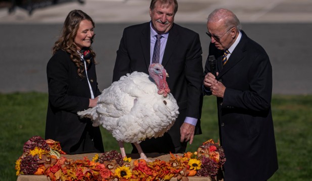Thanksgiving: US Pres. Biden Pardons 'Chocolate' and 'Chip' To Kick Off Holiday Season