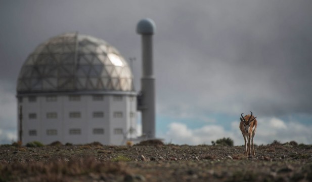 SKA Observatory: Construction Starts on World's Largest Telescope To Study the Universe's Secrets