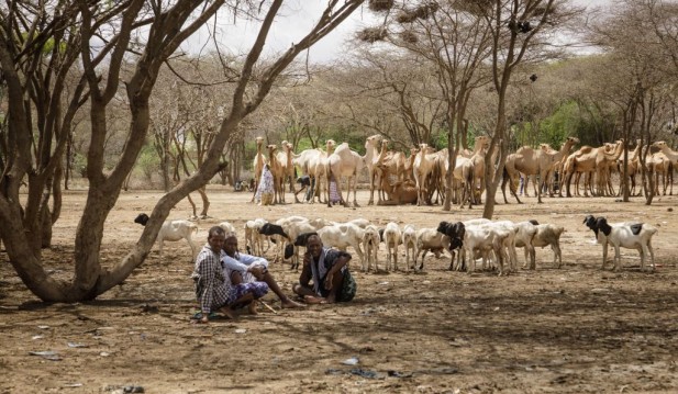 East Africa Drought: Climate Change Made Crisis 100 Times More Likely To Happen