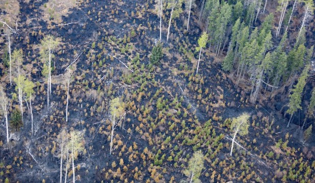Canada Wildfires Update: Blaze Sends Smoke to US States