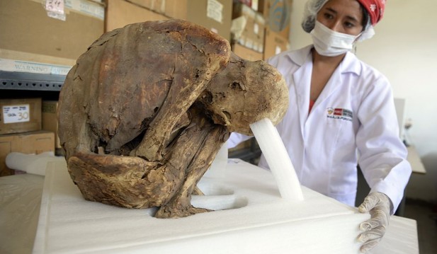 3000-Year-Old Mummy Found Rubbish Dump! Archeologists Claim It Dates Back To Manchay Culture 
