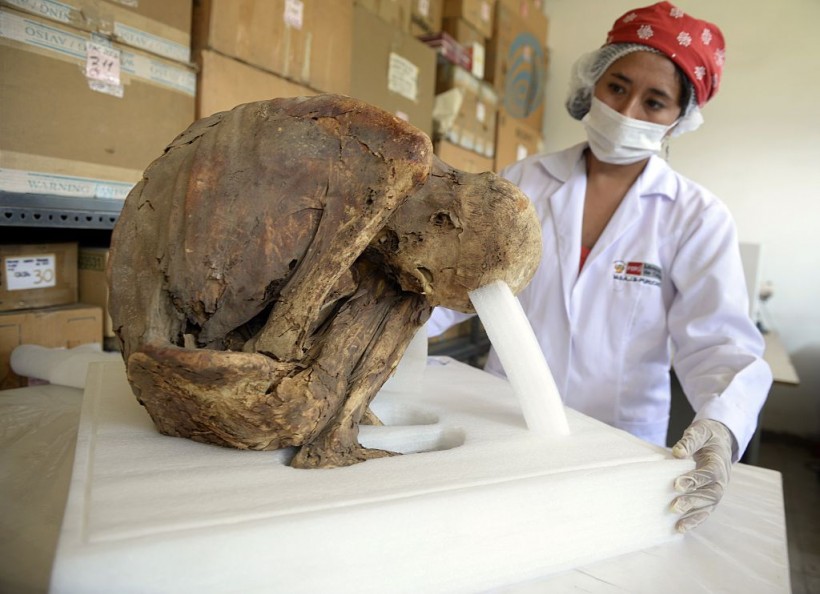 3000-Year-Old Mummy Found Rubbish Dump! Archeologists Claim It Dates Back To Manchay Culture 