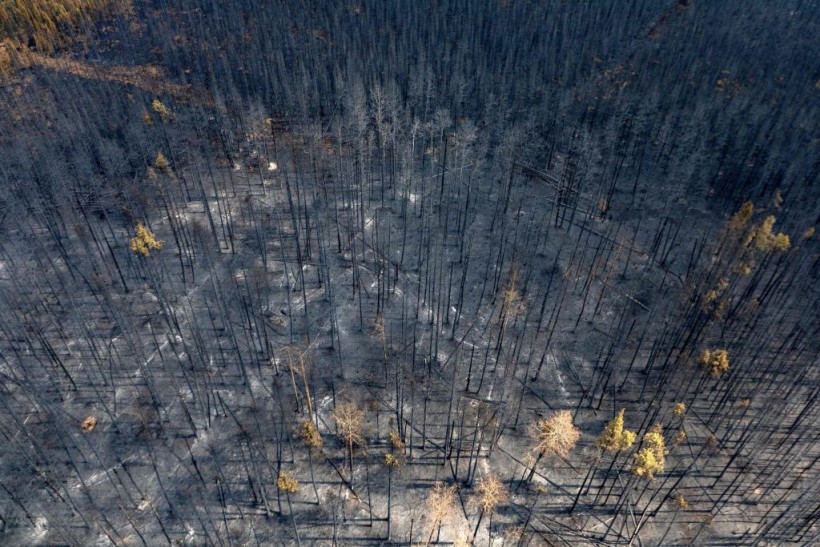 Canada Wildfire