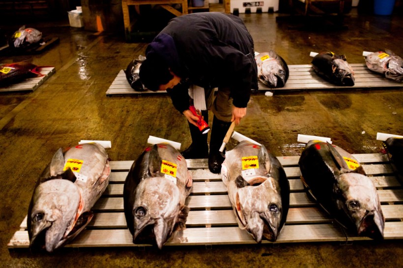 China's Seafood Ban Against Japan Could Greatly Benefit Russia—Here's How