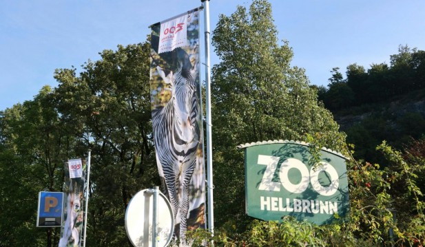 AUSTRIA-ZOO-ANIMAL-ACCIDENT
