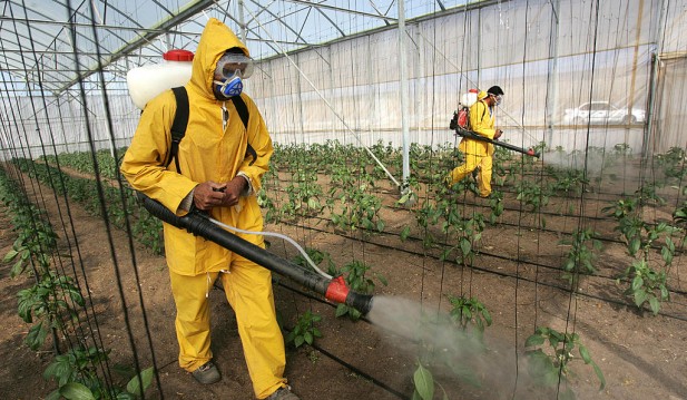 [STUDY] Over 30 Harmful Pesticides in UK Still Sold; PAN Expert Says UK is Europe's 'Toxic Poster Child'
