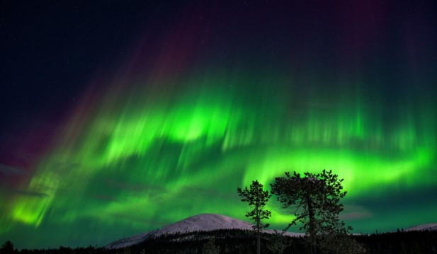 Northern Hemisphere Auroras Expected to Intensify as Peak of Solar Cycle Imminent – How to Watch Northern Lights as Winter Approaches?