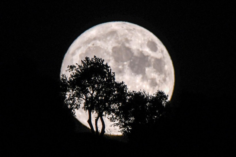 Full Moon Names 2023 Guide: Here's What Each of Them Means—Hunter's Moon and More