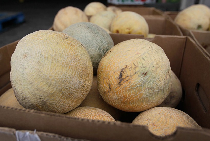 Eagle Produce Cantaloupe Salmonella Contamination Confirmed by FDA; Over 6,500 Cases of Rockmelons Recalled