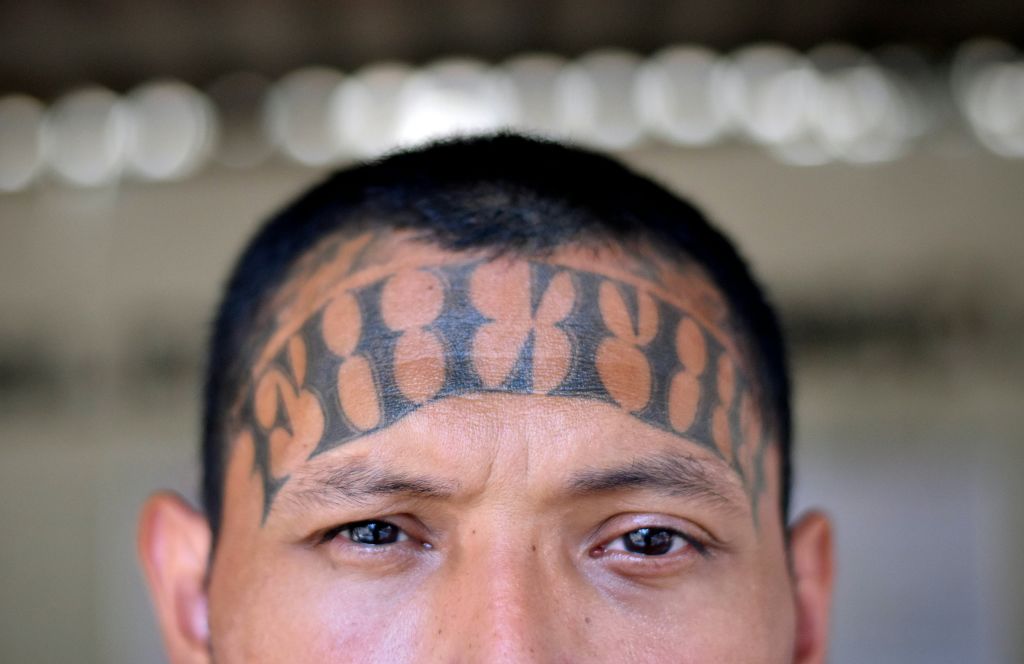 new zealands gang crackdown gangsters with offensive tattoos could be forced to wear makeup