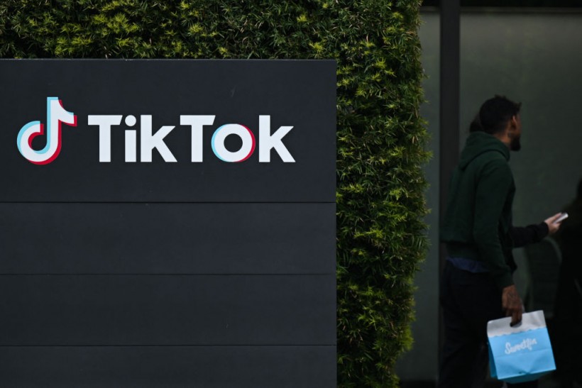 TikTok Creator Fund Suspension Confirmed—Will TikTokers Still Earn From the Platform?
