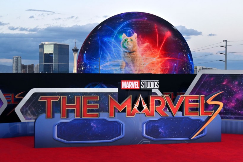 THE MARVELS Reception And Special Screening