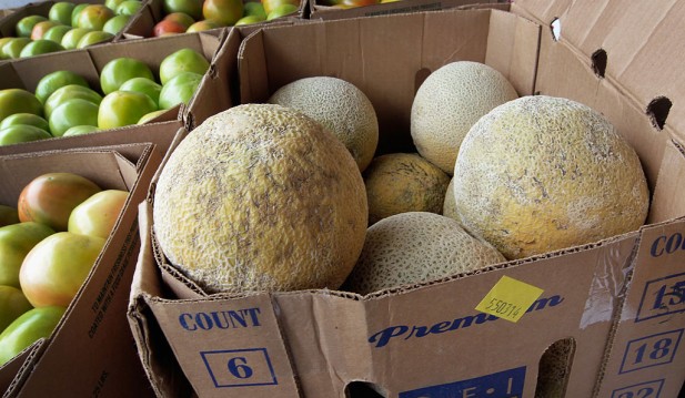 Listeria Outbreak In Cantaloupe Causes Deaths And Illnesses Across 18 States