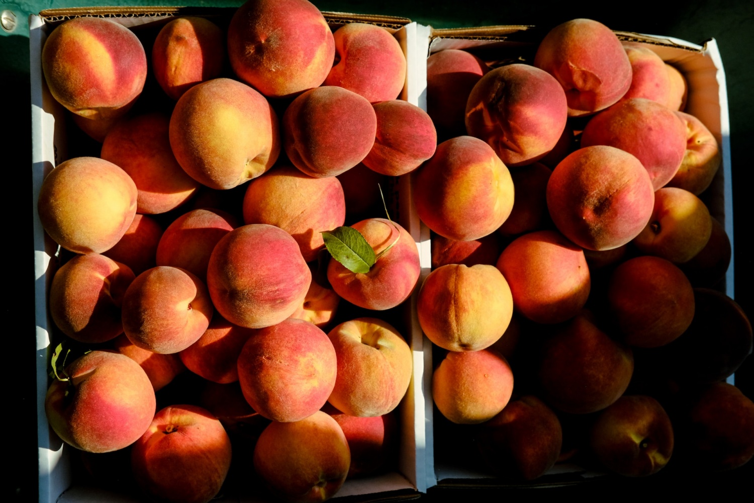 Peaches – hmcfarms