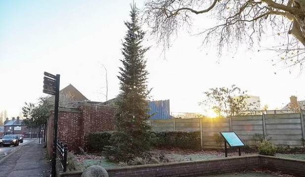 ‘Pathetic Beanstalk’: Locals of UK Town Upset Over Skinny Christmas Tree
