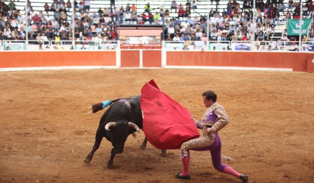 Mexico Continues Bullfighting Tradition After Banning in its Capital