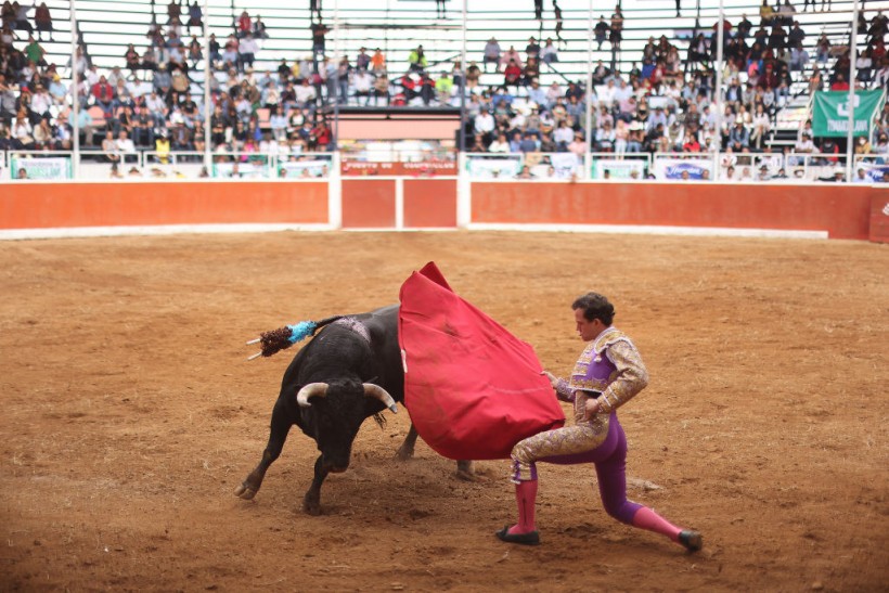 Mexico Continues Bullfighting Tradition After Banning in its Capital