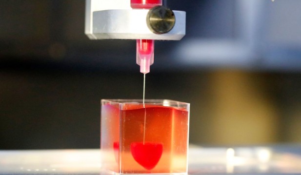 Groundbreaking 3D-Printed Chip Could Eliminate Need for Animal Test Subjects by Replicating Human Internal Organs