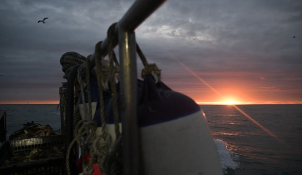 Miracle Rescue: New Zealand Fisherman Uses Watch To Call for Help After Spending 23 Hours at Sea