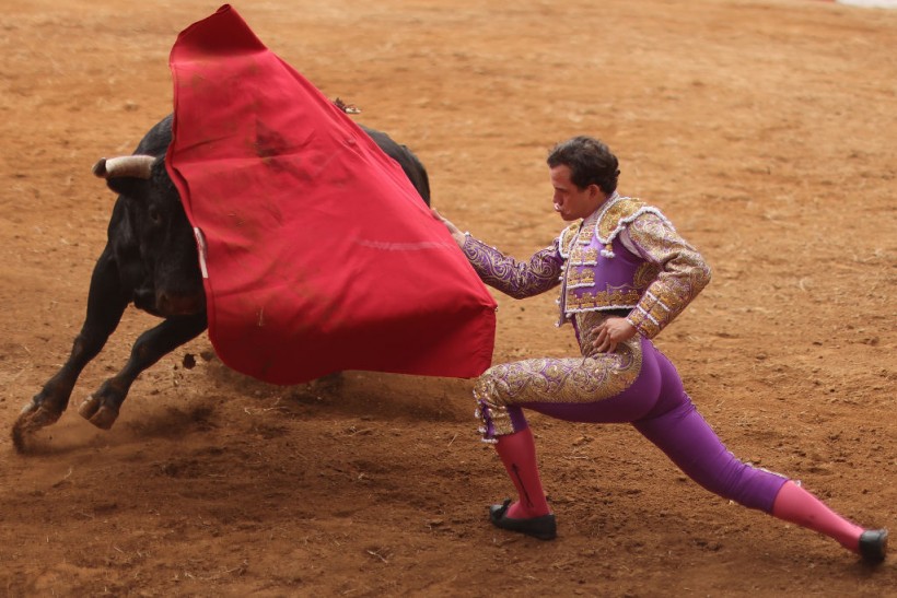 Bullfighting Returns to Mexico City After Supreme Court Lifts Ban