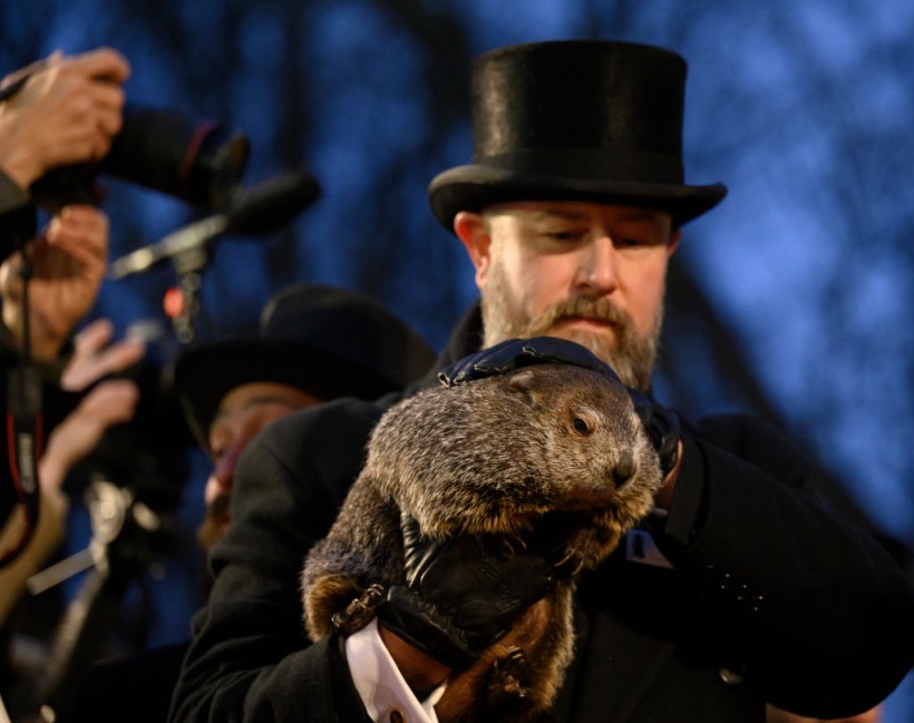 No Shadow! Groundhogs Predict Early Spring for 2024