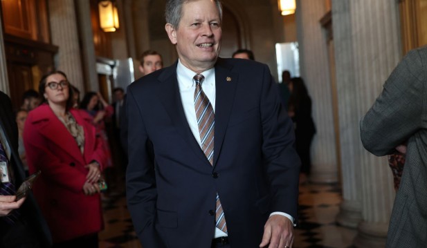 Trump Supports Steve Daines To Succeed Mitch McConnell as GOP Senate Leader