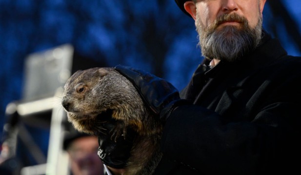 Punxsutawney Phil is a Father