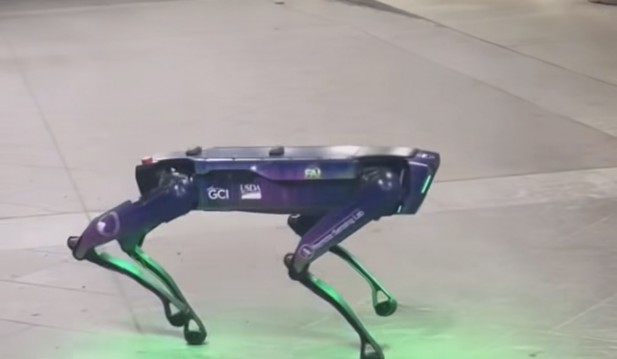 Aurora the Robotic Dog