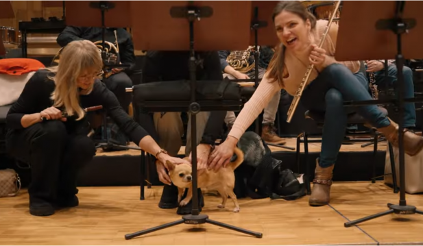 Polish Radio Orchestra and Dog