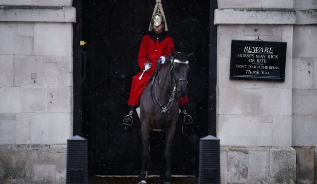 See the King's Horses Run! Household Cavalry Horses Went Loose in Central London
