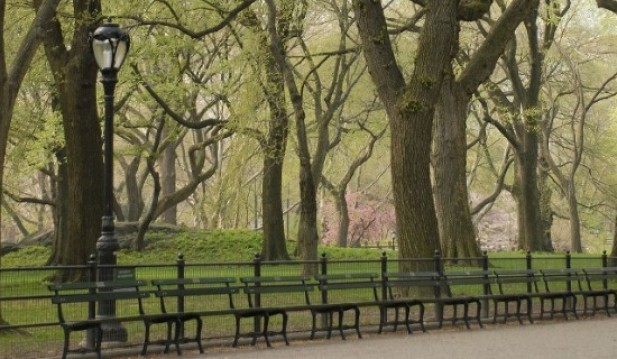 New York City's Iconic Central Park